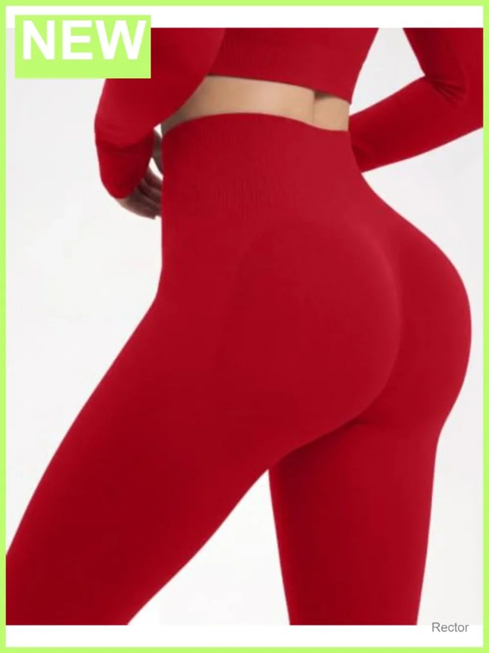 2 Piece Seamless Nylon Spandex Workout Set Crop Top Leggings Gym